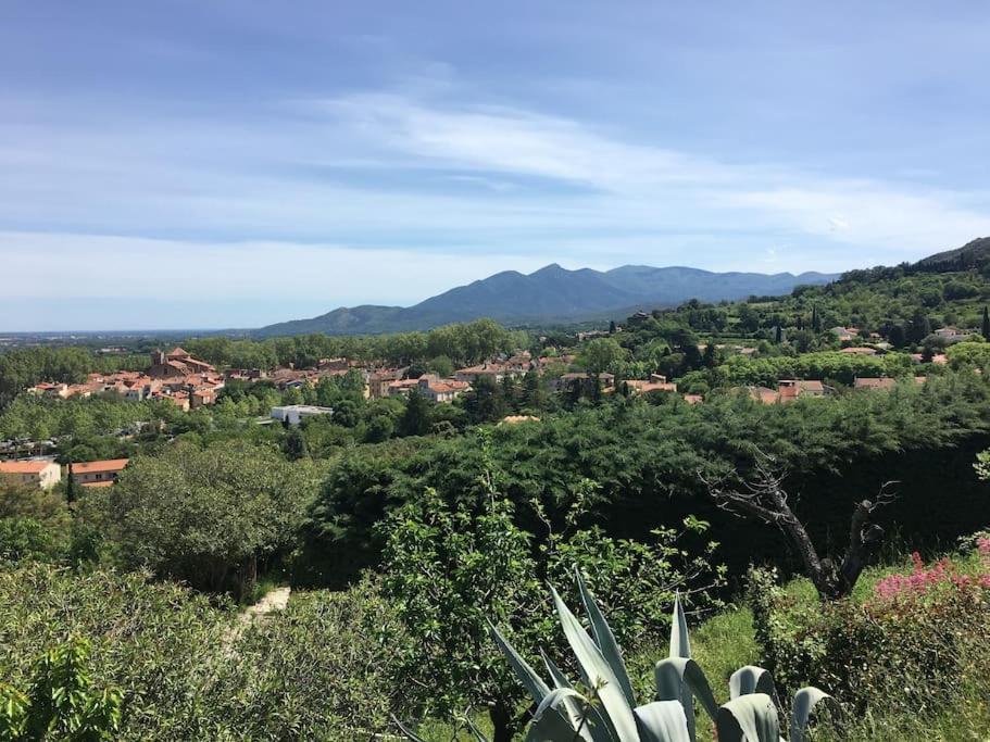 Au Coeur De Ville Avec Terrasse Ceret Bagian luar foto