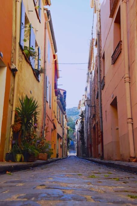 Au Coeur De Ville Avec Terrasse Ceret Bagian luar foto