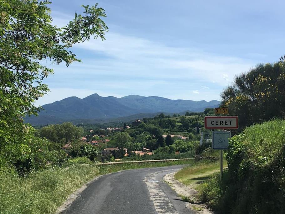Au Coeur De Ville Avec Terrasse Ceret Bagian luar foto