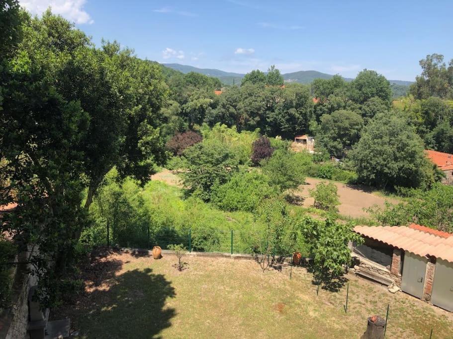 Au Coeur De Ville Avec Terrasse Ceret Bagian luar foto